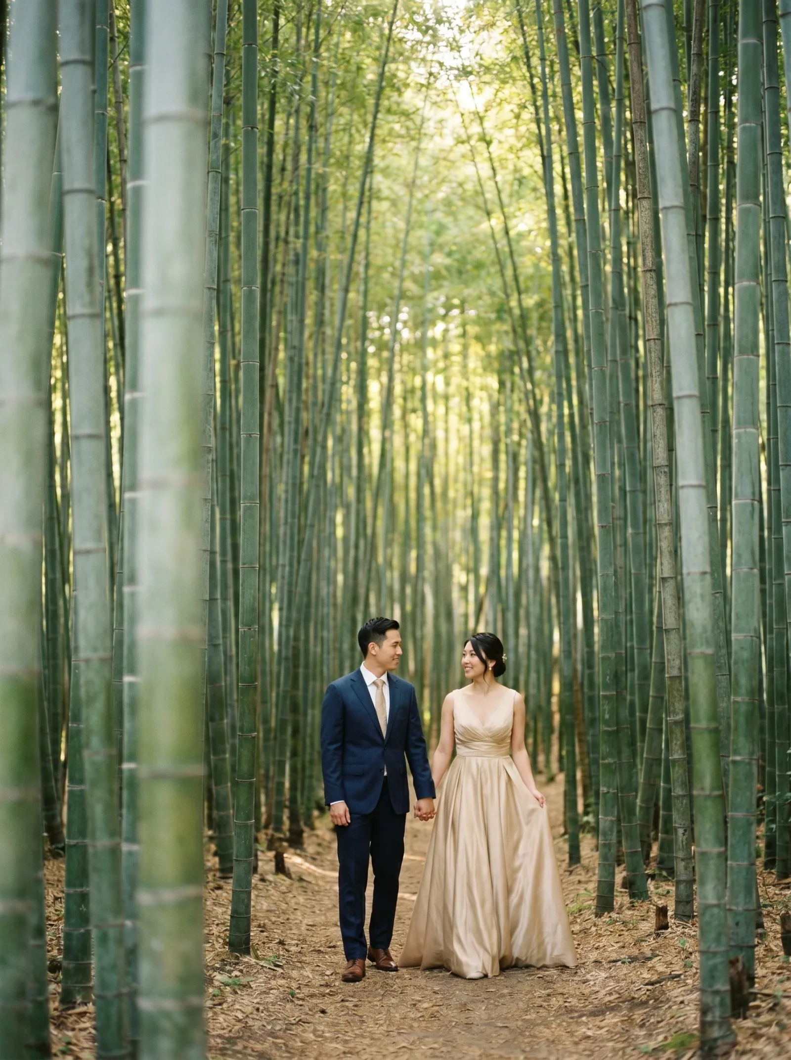 Arashiyama bamboo grove